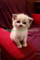 РАБОТА ДЛЯ ДЕВУШЕК